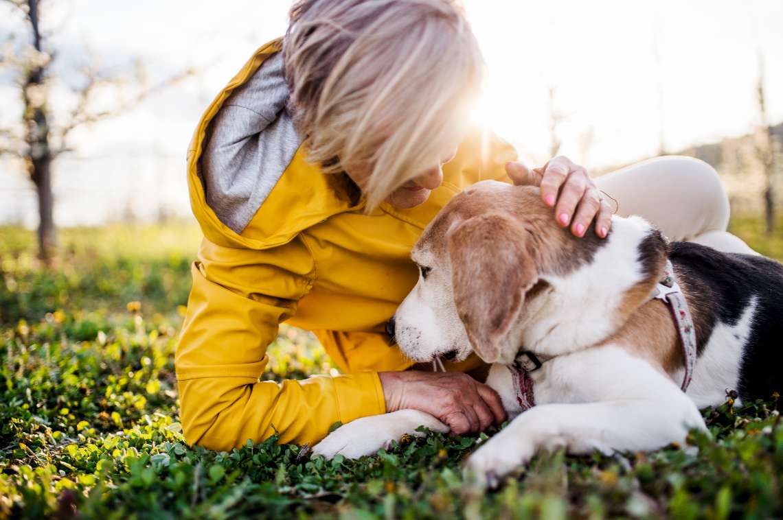 The Top Reasons to Consider Pet Insurance